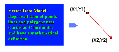 vectormodel.gif (4177 bytes)