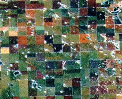 CropMapping.jpg (16274 bytes)