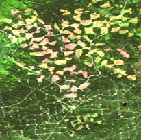 LandsatTM.jpg (18978 bytes)