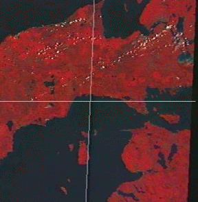 Ssmls.gif (49546 bytes)