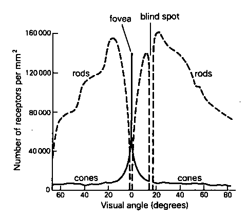 VisualAngle.gif (6663 bytes)