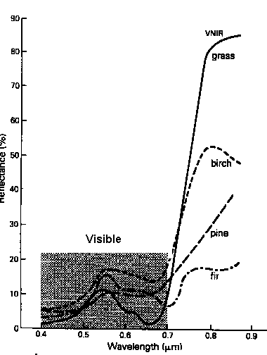 vegspectra2.gif (6789 bytes)